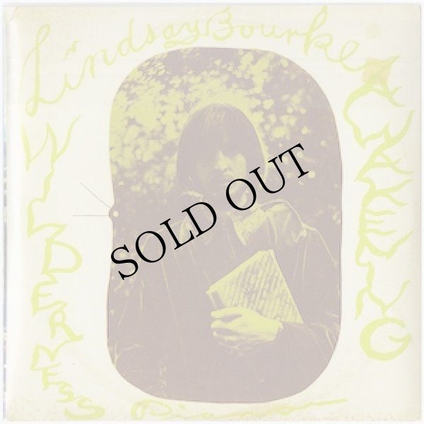 画像2: Lindsay Blue, Lindsay Bourke "Love All Life, Wilderness Awakening" [CD-R]