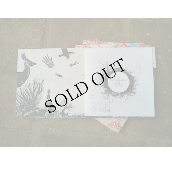 画像2: Bridget Hayden | Daniel Bridgwood-Hill | Ramsey Janini | David Chatton Barker | Sam McLoughlin "The Witches of Eagle Crag" [LP + 12 pages book]