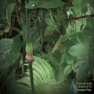 画像: Massimo Toniutti "Shanghai Files (6 or more ring-shaped films)" [CD]