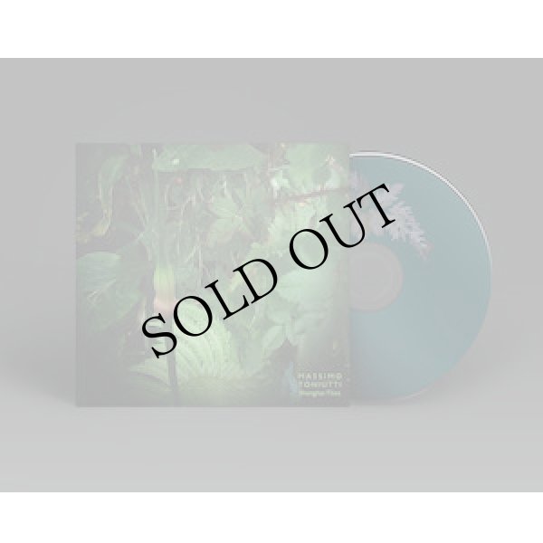 画像2: Massimo Toniutti "Shanghai Files (6 or more ring-shaped films)" [CD]