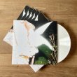 画像2: Elisabeth Klinck "Chronotopia" [White LP]