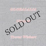 画像: Trevor Wishart "Globalalia / Imago" [CD]