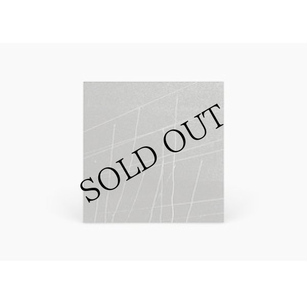 画像2: Alan Lamb "Archival Recordings: Primal Image / Beauty" [CD + fold out poster]