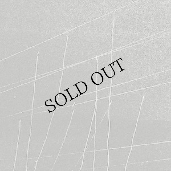 画像1: Alan Lamb "Archival Recordings: Primal Image / Beauty" [CD + fold out poster]