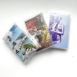 画像5: Corum "Beguiling Isles" [3 Cassette]