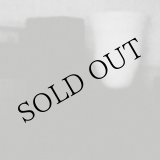 画像: Merzbow "The Prosperity Of Vice, The Misfortune Of Virtue" [CD]