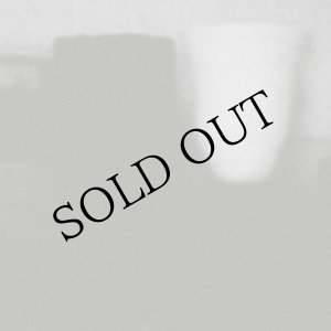 画像: Merzbow "The Prosperity Of Vice, The Misfortune Of Virtue" [CD]