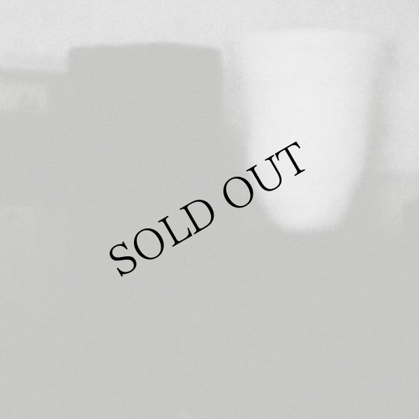 画像1: Merzbow "The Prosperity Of Vice, The Misfortune Of Virtue" [CD]