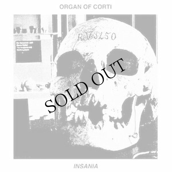 画像1: Organ of Corti "Insania" [LP]