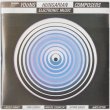 画像2: V.A "Hungarian Electronic Music" [2CD-R]