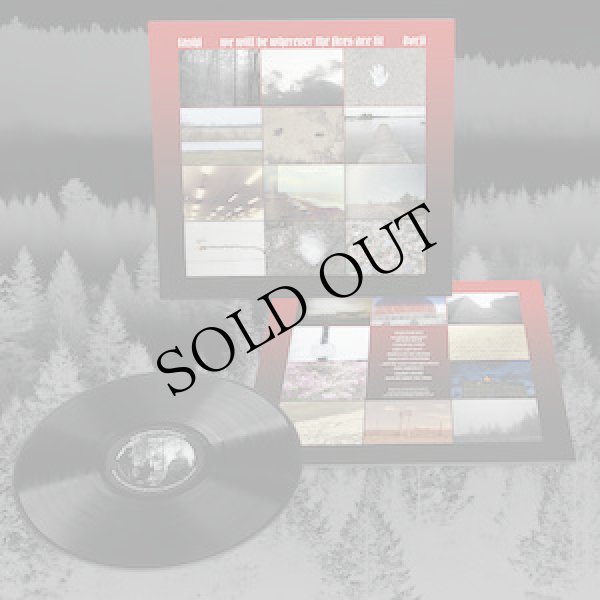 画像2: Tashi Dorji "we will be wherever the fires are lit" [LP]