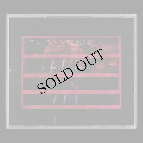 画像2: Illusion Of Safety "RVE" [CD]