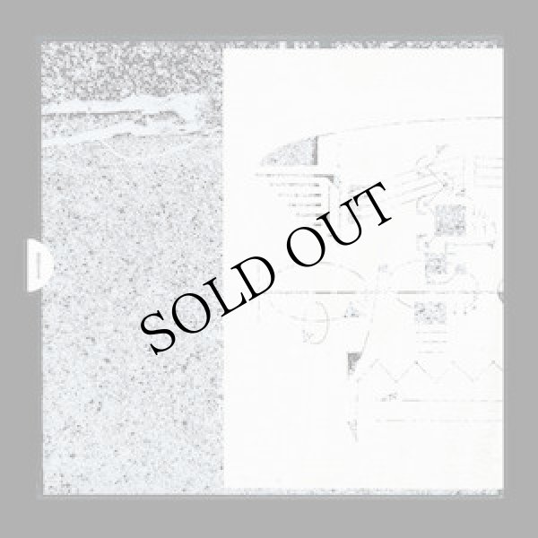 画像1: Trevor Mathison "From Signal to Decay: Volume 5" [LP]