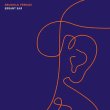 画像1: Brunhild Ferrari "Errant Ear" [CD]