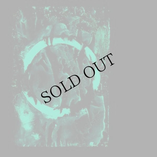 画像4: Are Mundal "Songs for the Anechoic Chamber" [LP]