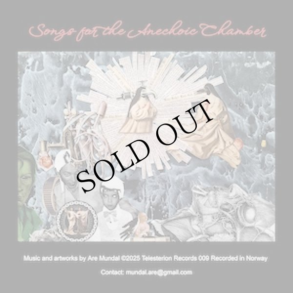 画像2: Are Mundal "Songs for the Anechoic Chamber" [LP]