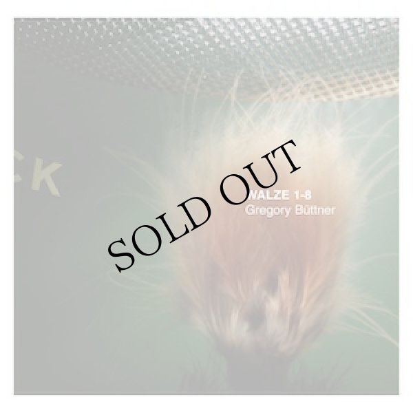 画像1: Gregory Buttner "Walze 1-8" [CD]