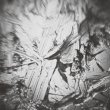 画像2: Aki Onda "In the Depth of Illusion: A Soundtrack for Nervous Magic Lantern" [Sign - LP]