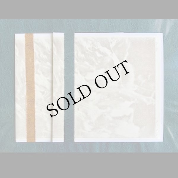 画像1: Jon Collin "The Other Dead Sea" [LP]