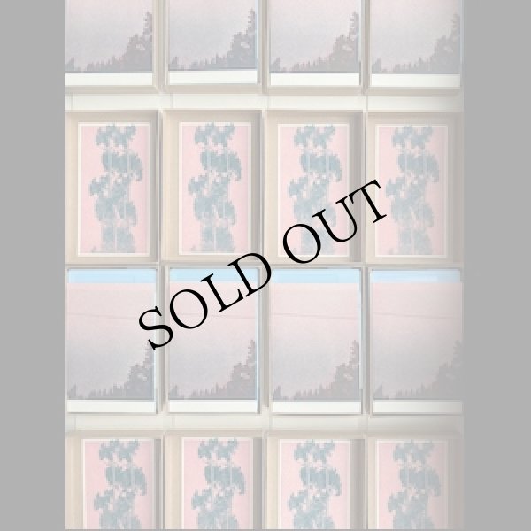 画像1: Jon Collin "The Land" [Cassette]