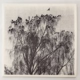 画像: Nærværet "Nar Man Ser Inn I En Annens Hjerte" [LP]