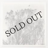 画像: Nærværet "Nar Man Ser Inn I En Annens Hjerte" [LP]