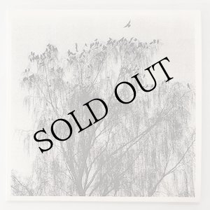 画像: Nærværet "Nar Man Ser Inn I En Annens Hjerte" [LP]