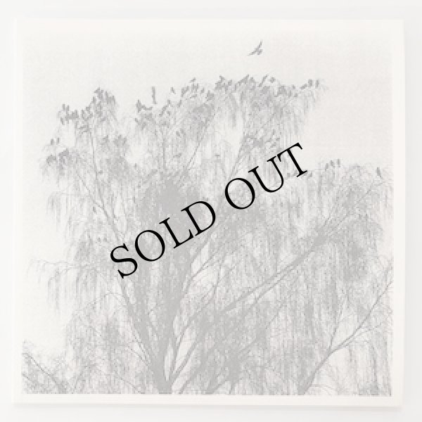 画像1: Nærværet "Nar Man Ser Inn I En Annens Hjerte" [LP]