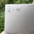 画像3: Aki Onda "In the Depth of Illusion: A Soundtrack for Nervous Magic Lantern" [Sign - LP]