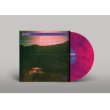 画像1: Offthesky "Nocturnas" [pink/purple vinyl]