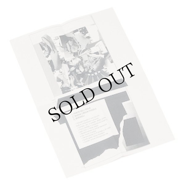 画像4: Petroglifi Solubili "Tante Case Vuote / Scritte sul Retro / Angiporto / Terreni Golenali" [4CD-R]