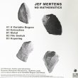 画像2: Jef Mertens "NO MATHEMATICS" [LP]