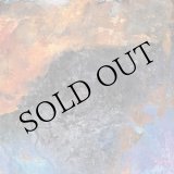 画像: Illusion Of Safety "Cancer 2025 LP Remaster" [LP]