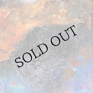 画像: Illusion Of Safety "Cancer 2025 LP Remaster" [LP]