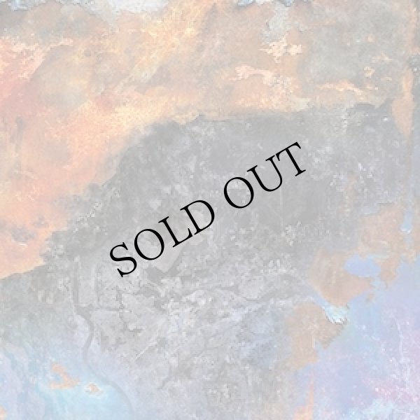 画像1: Illusion Of Safety "Cancer 2025 LP Remaster" [LP]