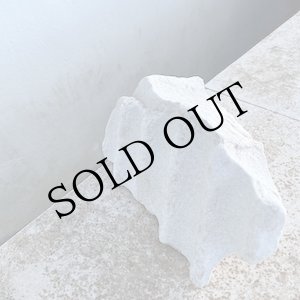 画像: Marja Ahti / Manja Ristic "Transference" [CD]