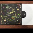 画像2: Roxane Metayer "Chenes" [LP]
