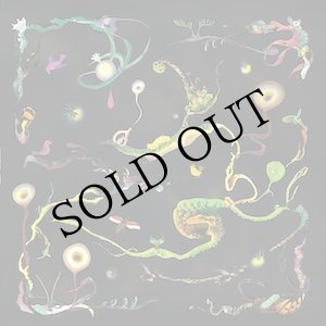 画像: Roxane Metayer "Chenes" [LP]