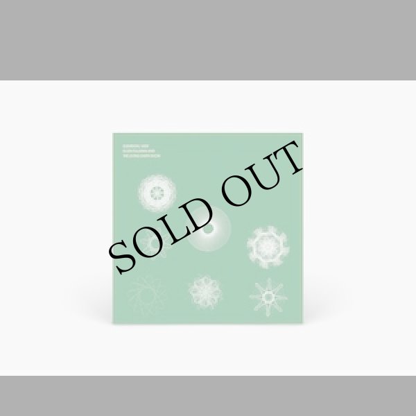 画像2: Ellen Fullman "Elemental View" [CD]