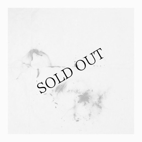 画像2: Rie Nakajima + David Toop "Is Spring A Sculpture?" [CD + Book]