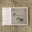 画像1: Rie Nakajima + David Toop "Is Spring A Sculpture?" [CD + Book]