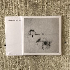 画像: Rie Nakajima + David Toop "Is Spring A Sculpture?" [CD + Book]