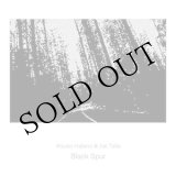 画像: Atsuko Hatano & Joe Talia "Black Spur" [CD]