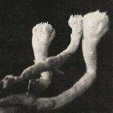 画像: Lauten der Seele "Unterhaltungen mit Larven und Uberresten" [LP]