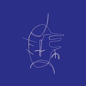 画像: Rhodri Davies "Creiriau y Delyn Rawn / Relics of the Horsehair Harp" [CD]