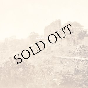 画像: Rhodri Davies & Alfredo Costa Monteiro "Widdershins" [CD]