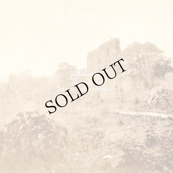 画像1: Rhodri Davies & Alfredo Costa Monteiro "Widdershins" [CD]