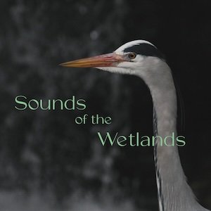 画像: V.A "Sound of the Wetlands" [2CD]