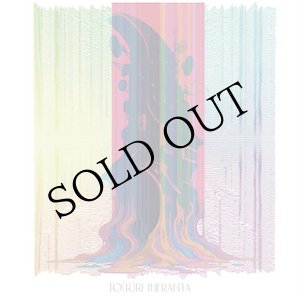 画像: Mitsuhisa Sakaguchi / Yoshiki Ichihara "TO(R)RI INFRANTA" [CD]