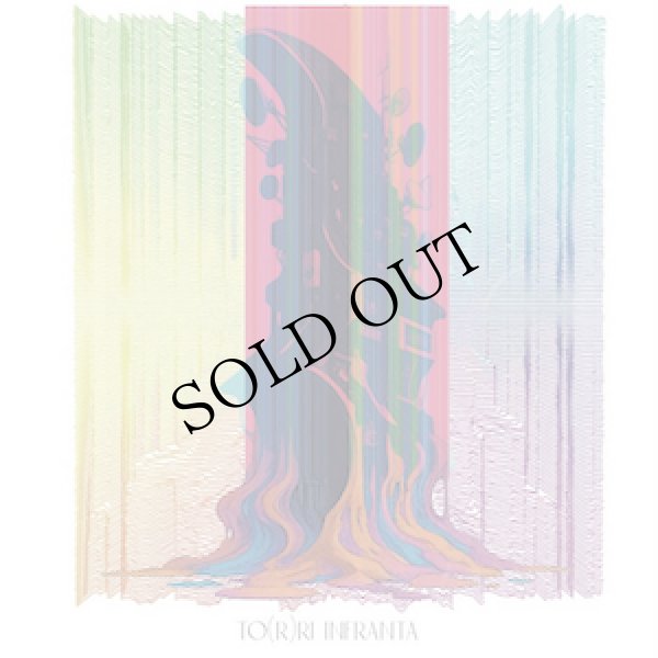 画像1: Mitsuhisa Sakaguchi / Yoshiki Ichihara "TO(R)RI INFRANTA" [CD]